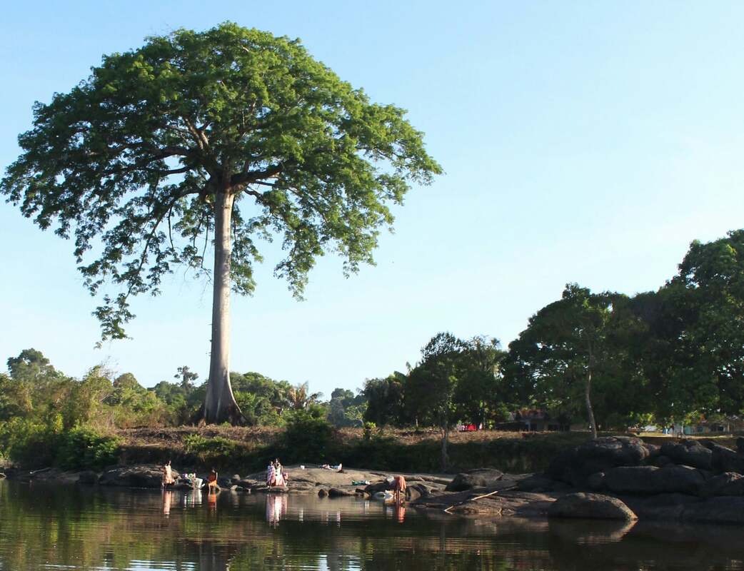 KANKANTRIE