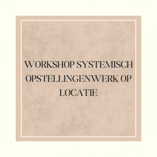WORKSHOP SYSTEMISCH OPSTELLINGENWERK OP LOCATIE